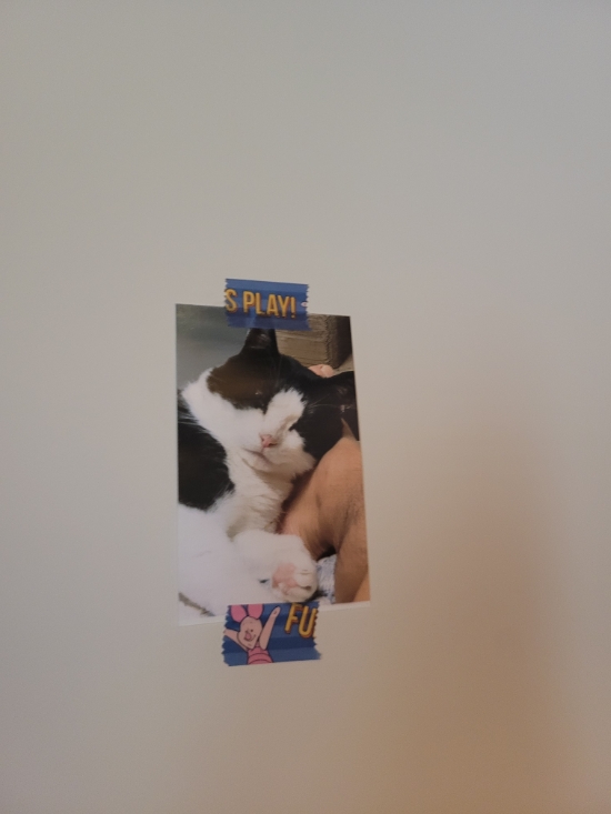 키친 인자한 이미지