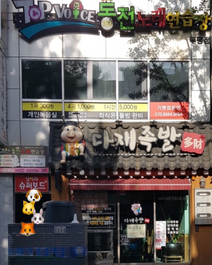 탑보이스동전노래연습장 이미지