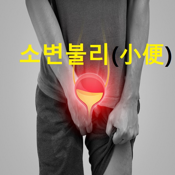 앞산OK한의원 이미지