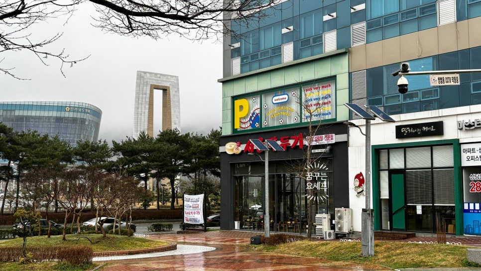 피크베리머치 이미지