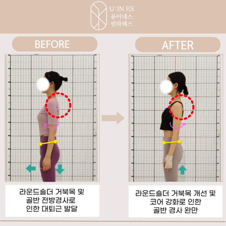 유이네스 이미지