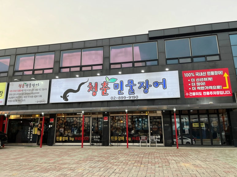 청춘민물장어 이미지