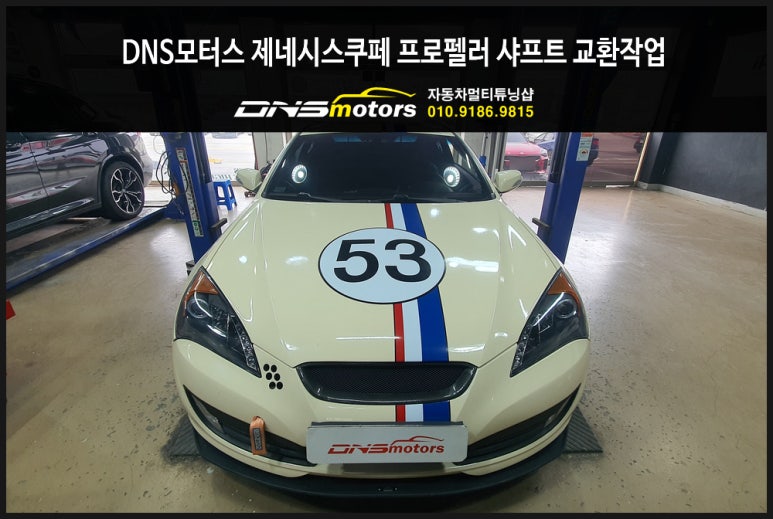 DNS모터스 이미지