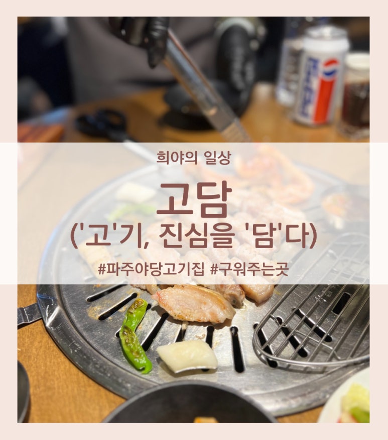 담:다 이미지