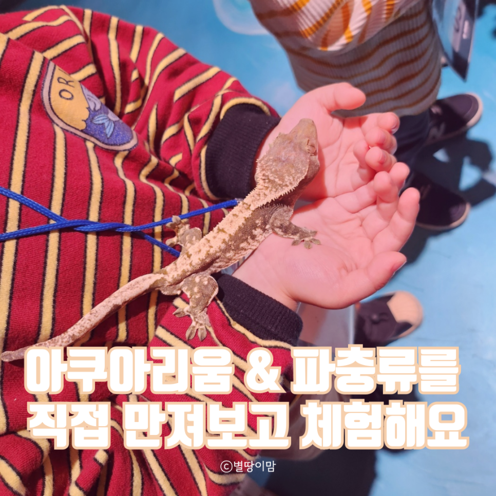 어푸어푸 수원판타지움점 이미지