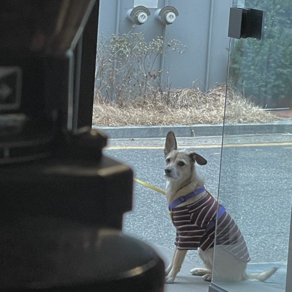 멍카페 이미지