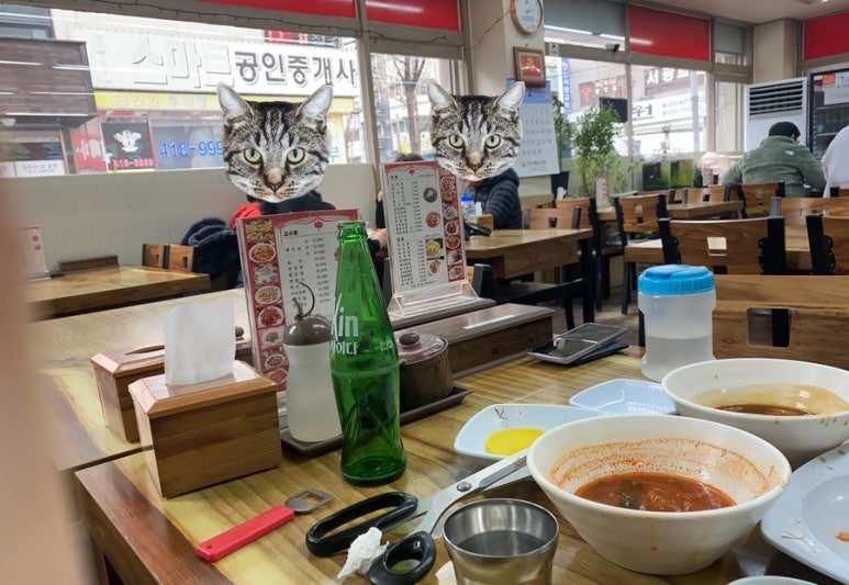 용마루손짜장 이미지