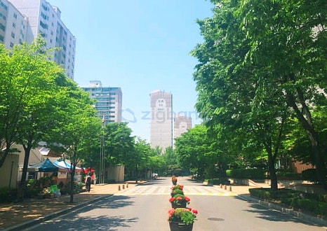 백마어린이집 이미지