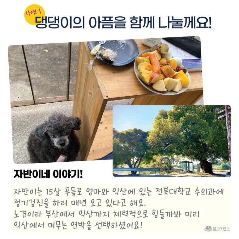 달과7펜스 이미지