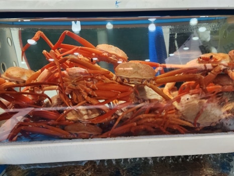 만남회수산 이미지
