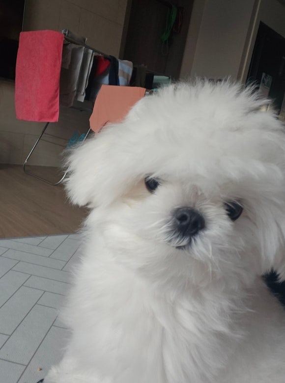 크로스핏간지 이미지