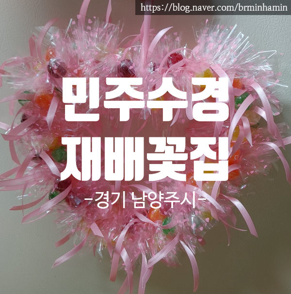 민주수경재배꽃집 이미지
