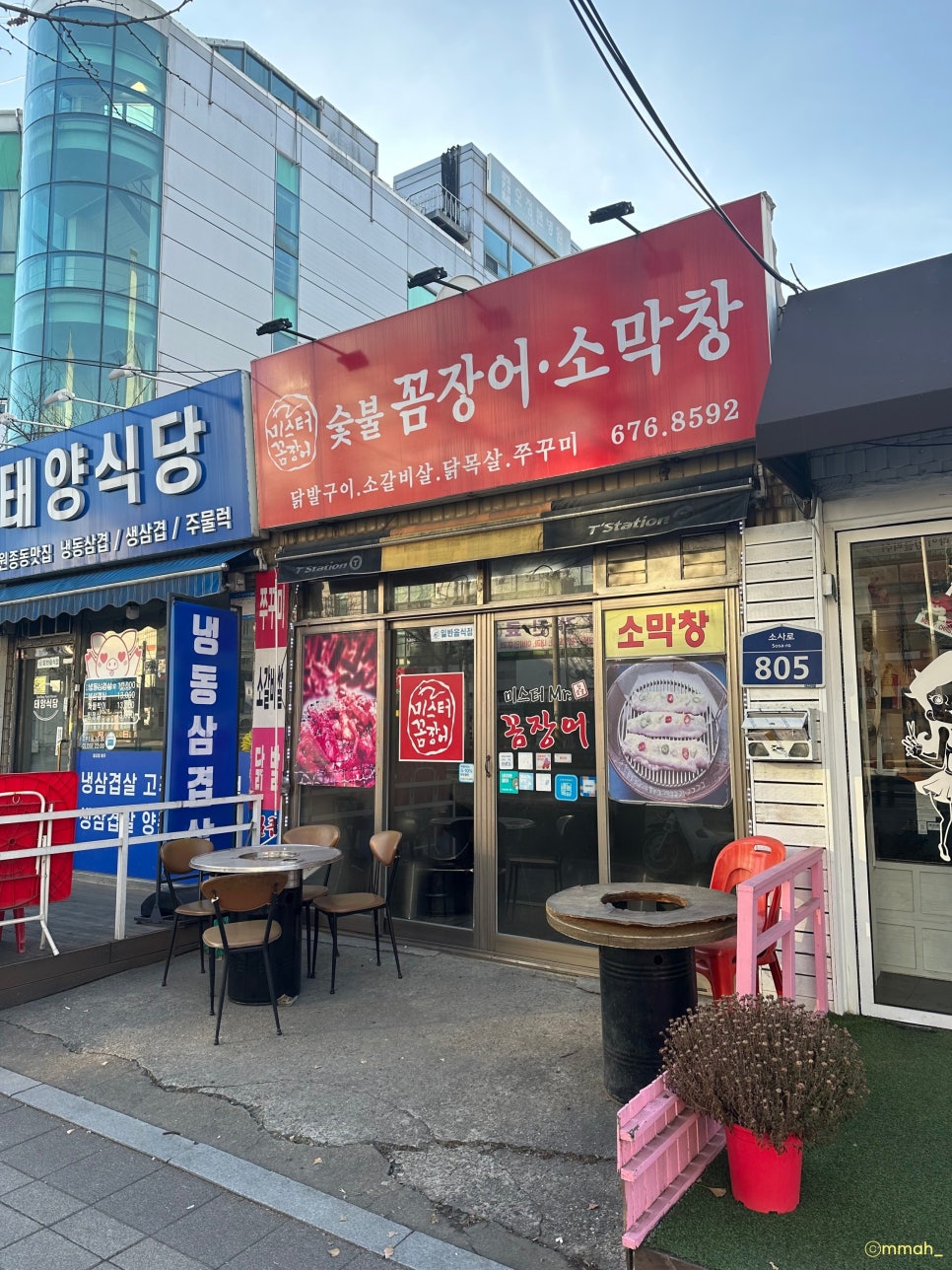 미스터꼼장어 이미지