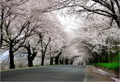 K브레인교육 이미지