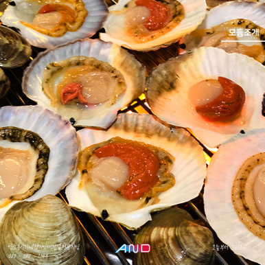 제이제이테라스 이미지