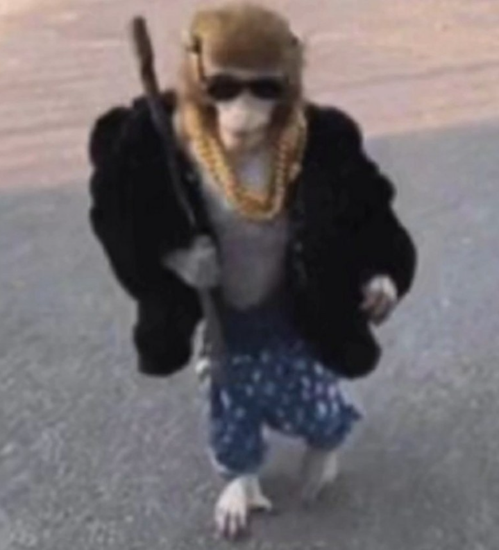 훈트 이미지