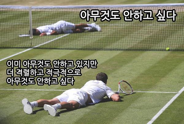 코리아주유소 이미지
