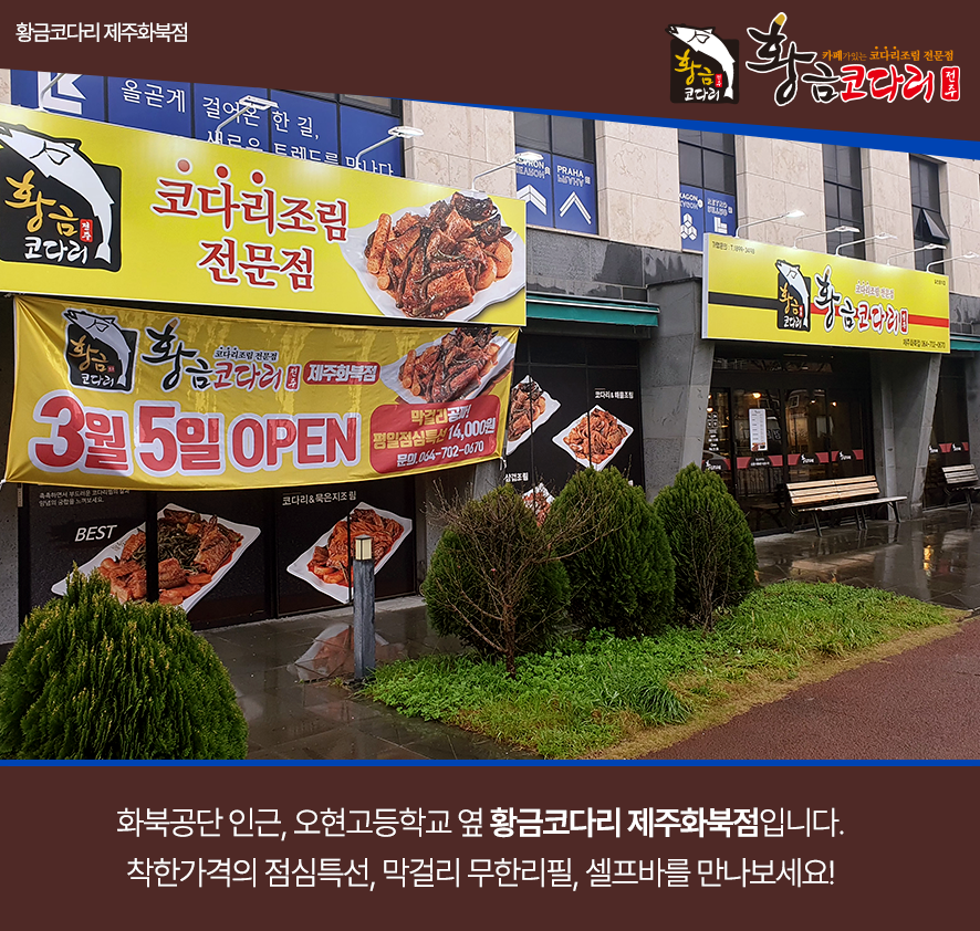 황금코다리제주화북점 이미지