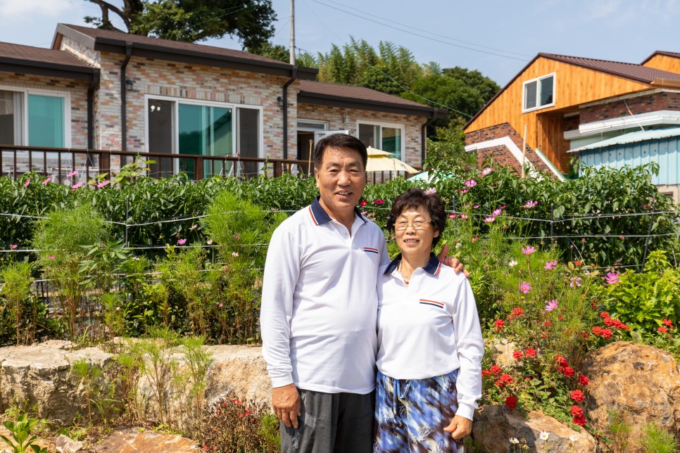 금당백련 이미지