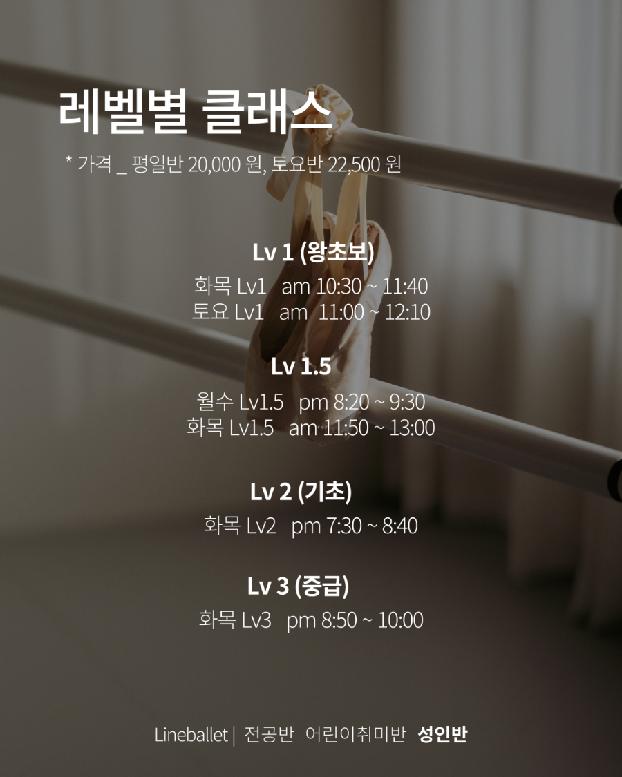 라인발레무용2관학원 이미지