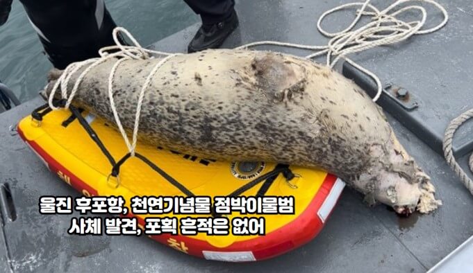 울진후포항 이미지