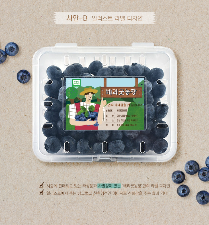 블루베리디자인 이미지