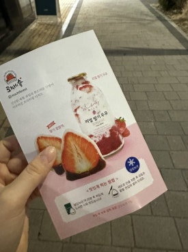 모찌의숲 이미지