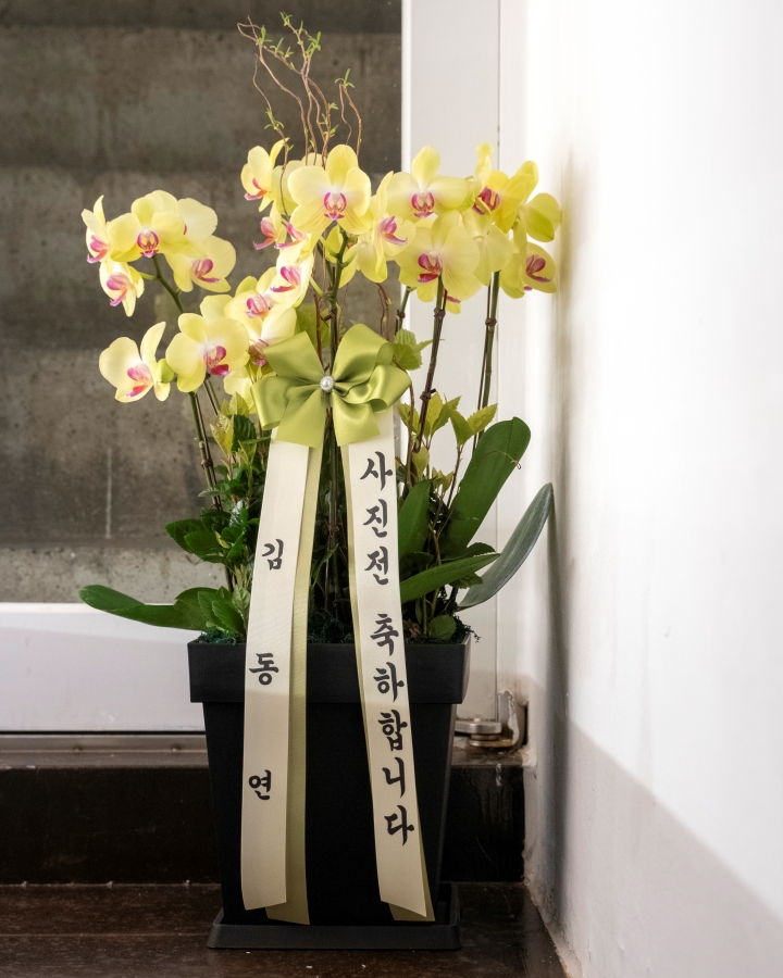 고남수 이미지
