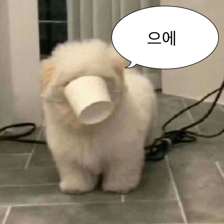 샐러디창동역점 이미지
