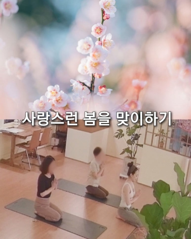 현대그릇프라자 이미지