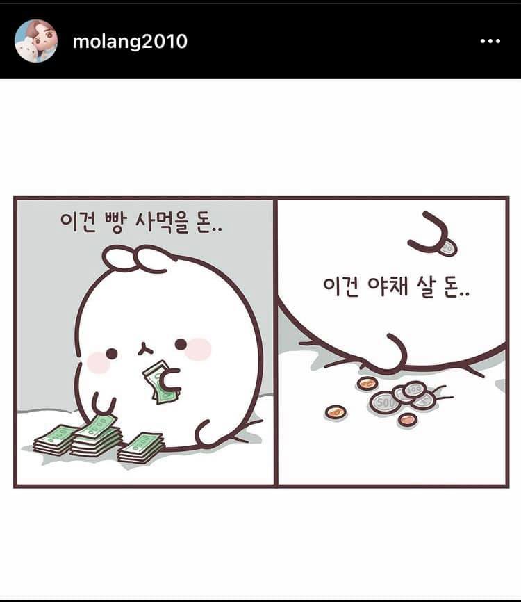 파이드정희 이미지
