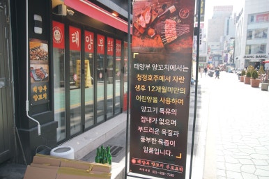 태양부양꼬치 이미지