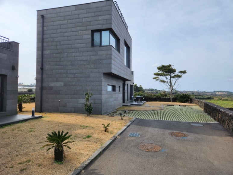 동녘에머문청춘 이미지