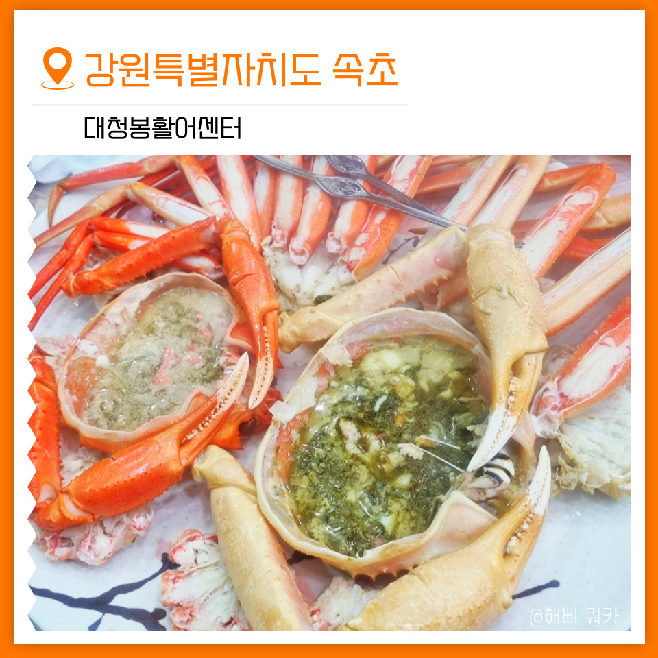 대청봉활어센터 이미지