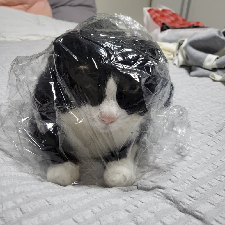 가원식품 이미지
