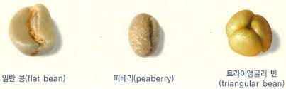 트라이앵글커피 이미지