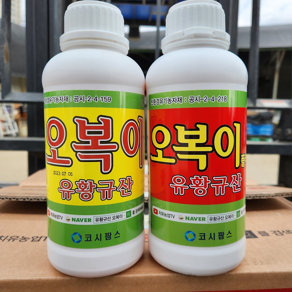코시팜스 이미지