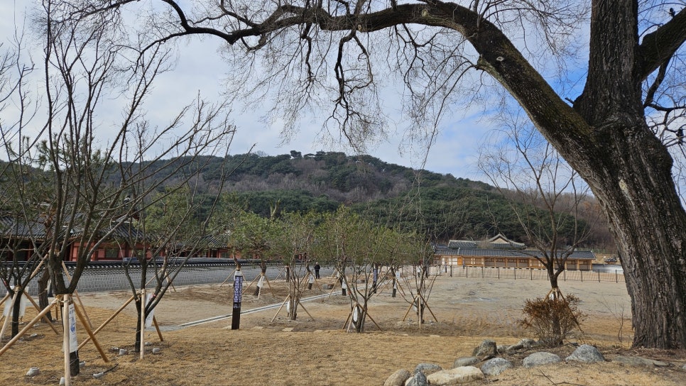 한옥스테이 달과 노니는 집 이미지
