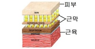 리더몬드 에스테틱 부산동래본점 이미지