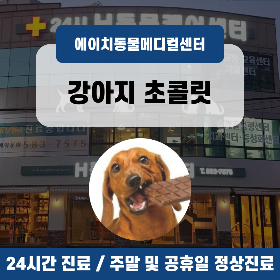 에이치메디컬 이미지