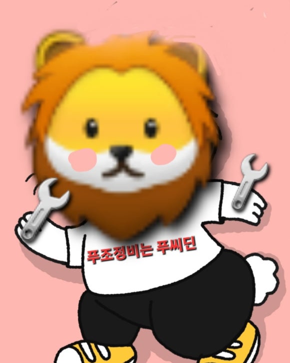 쌍용오토프라자 이미지