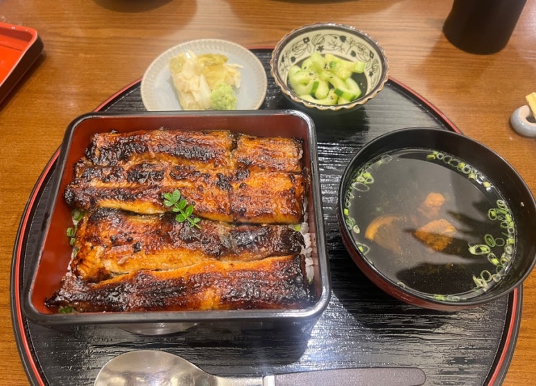 세미장어 이미지