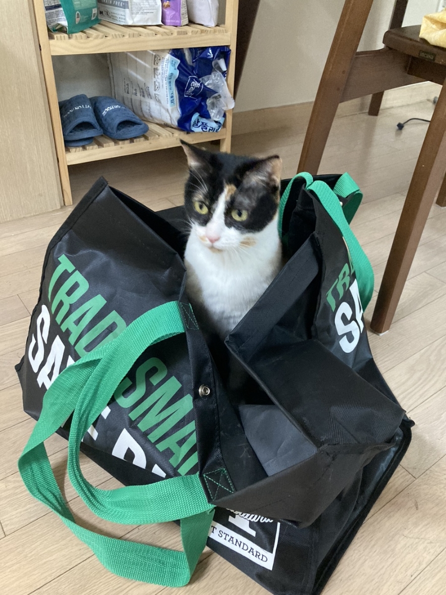 꿀벌치킨 이미지
