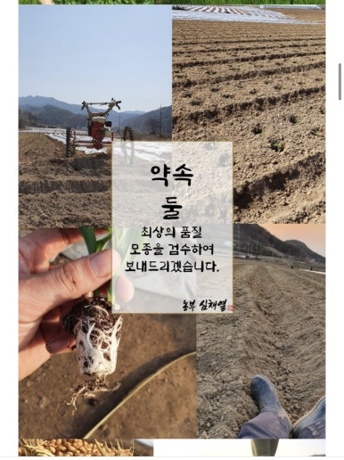 농부심 이미지