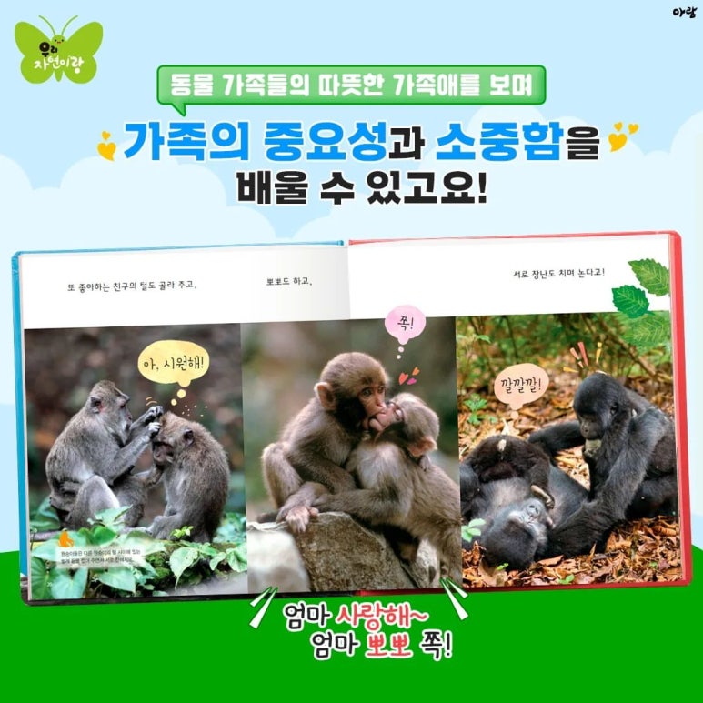 자연아부탁해 이미지