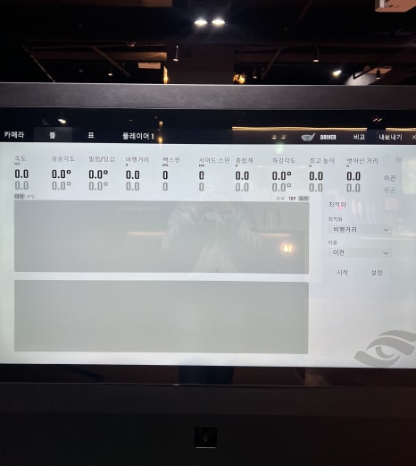 더스윙고양 이미지