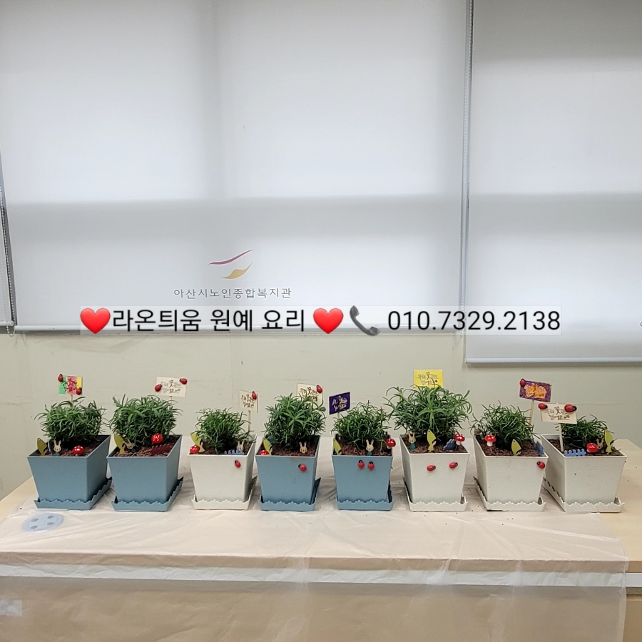 라온교육연구원 이미지