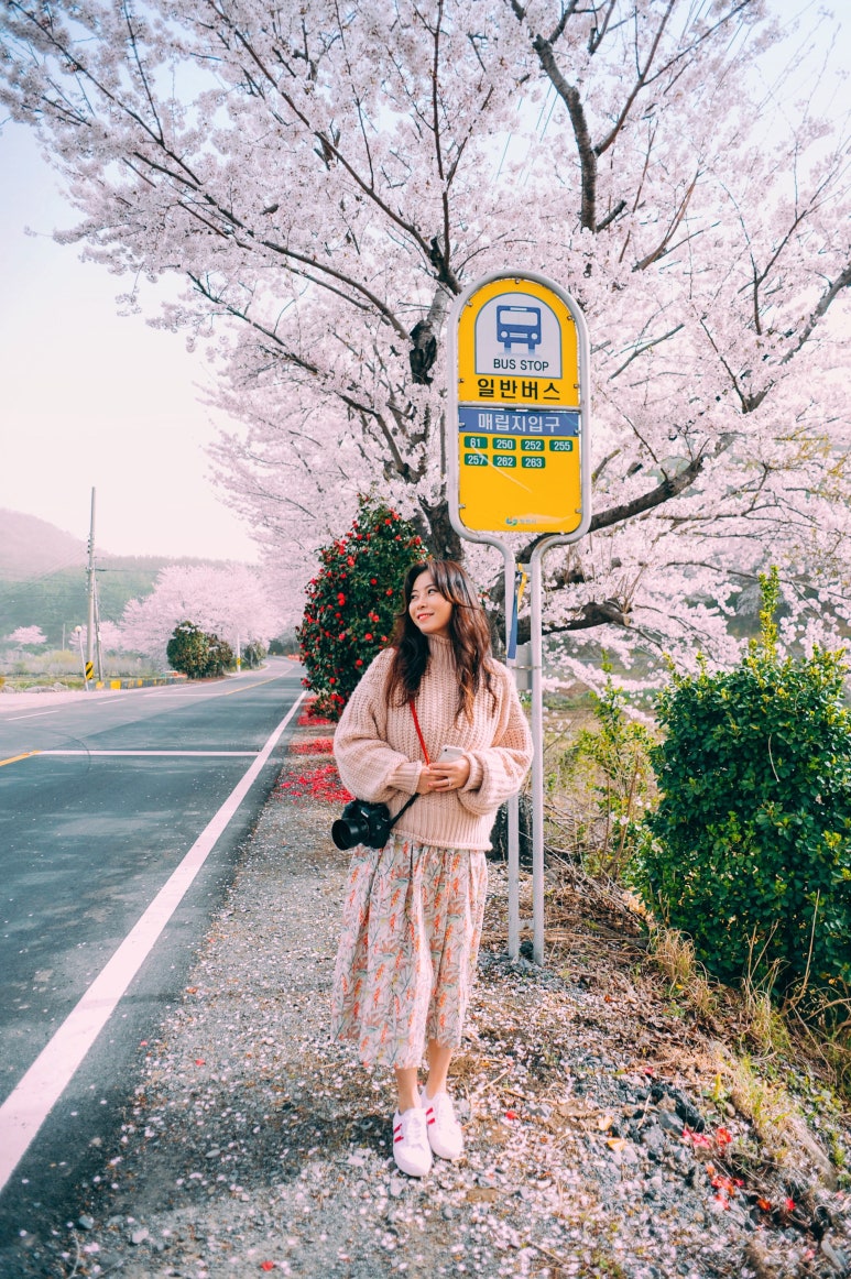 동강주유소 이미지