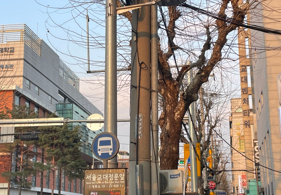 압구정치퀸 이미지
