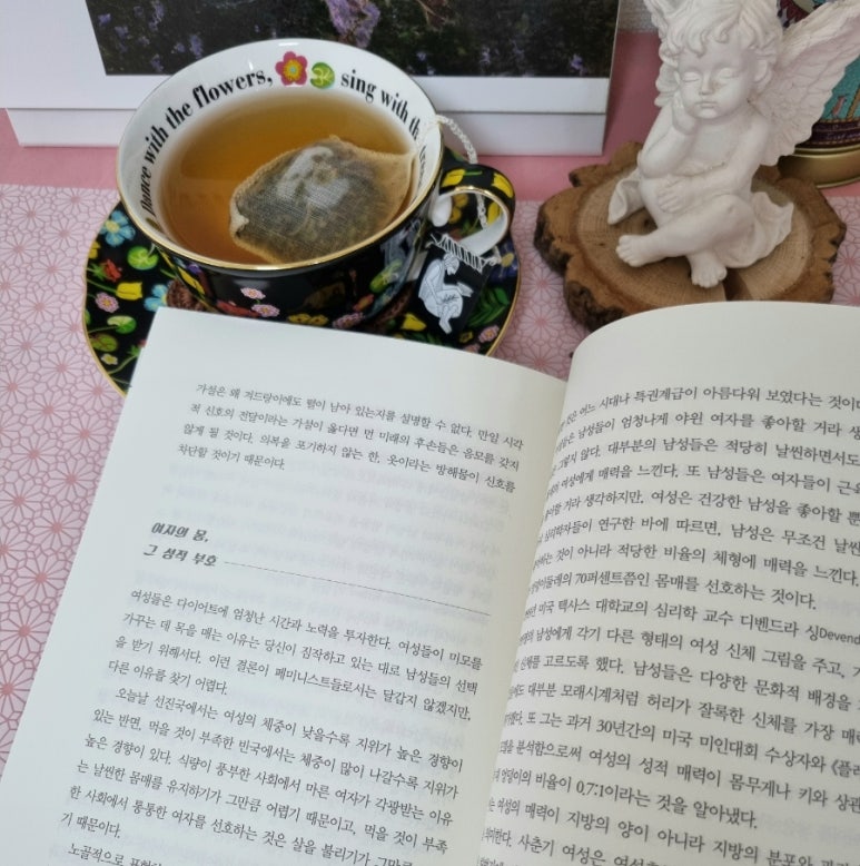 노마드블룸 이미지